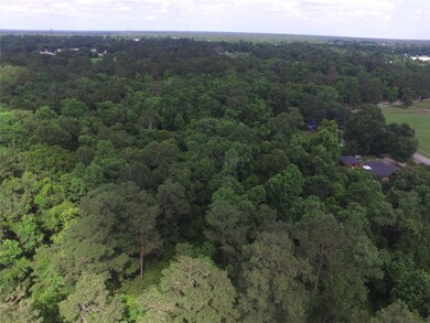 27300 Dobbin Huffsmith, Magnolia, TX 77354 - photo 6