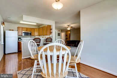 9131 Gracious End Ct unit 203, Columbia, MD 21046 - photo 7