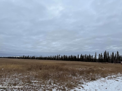000 Tanana Loop Rd, Big Delta, AK 99737 - photo 6