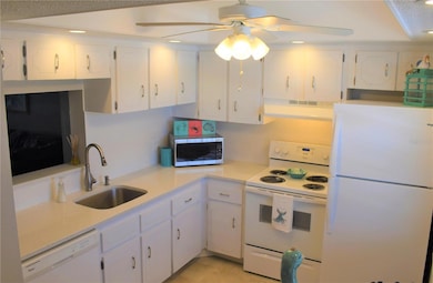 970 Virginia St unit 305, Dunedin, FL 34698 - photo 3