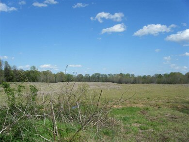 1835 Braden Rd, Mason, TN 38049 - photo 6