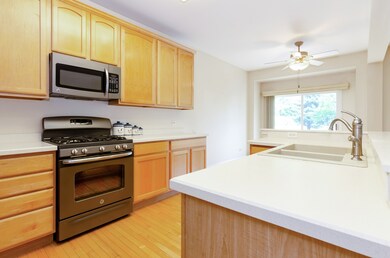 4201 Whitehall Ln, Algonquin, IL 60102 - photo 4