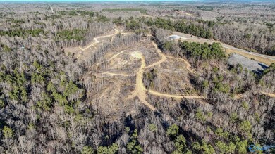 32 Acres Hwy 43, Hamilton, AL 35570 - photo 7