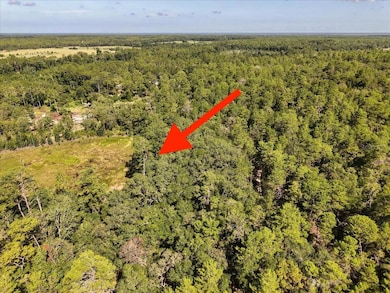 229 Arkansas St, Satsuma, FL 32189 - photo 7