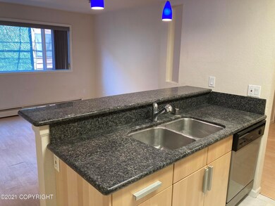 1327 W 25th Ave unit 216, Anchorage, AK 99503 - photo 5