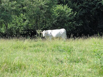 21297 Dale Rouse Rd, Springdale, AR 72762 - photo 2