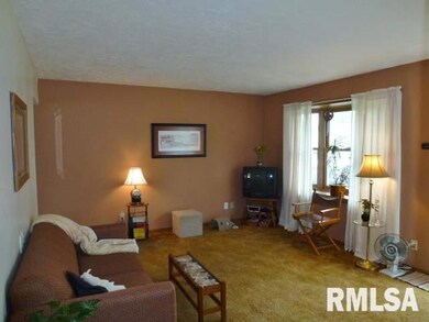 230 Heritage Ave, Lincoln, IL 62656 - photo 2