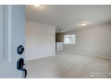 725 Columbine Dr, Windsor, CO 80550 - photo 3