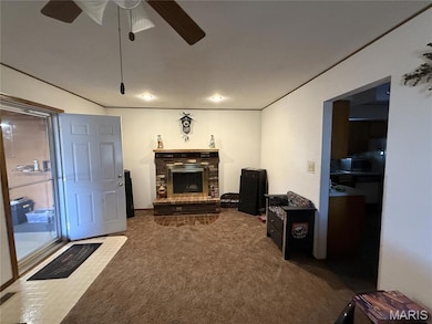 1458 N Carlyle Rd, Vandalia, IL 62471 - photo 5