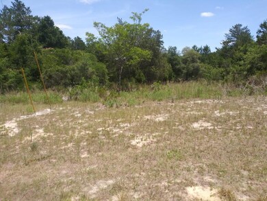 0 SW 20th Court Rd unit O5945588, Ocala, FL 34473 - photo 2