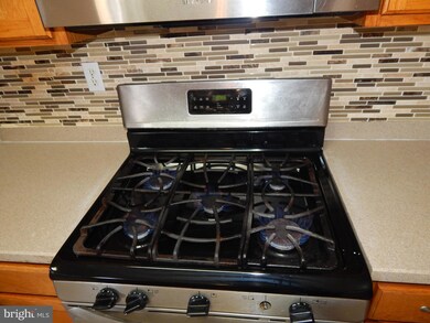 2520 Isham Randolph Dr, Herndon, VA 20171 - photo 4