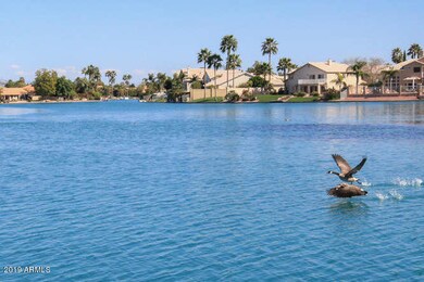 1337 W Clearspring Dr Gilbert-small-029-