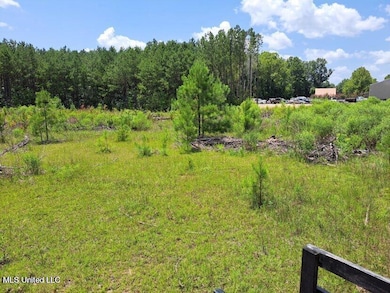 0 0 U S 49, Mendenhall, MS 39114 - photo 5