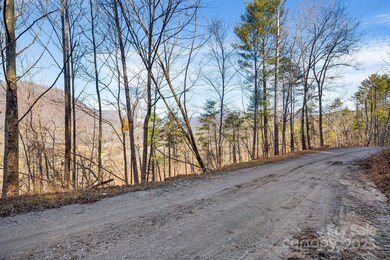 000 Fox Ridge Trail unit 15 & 18, Marion, NC 28752 - photo 4