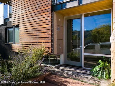 200 E Homestead Dr, Basalt, CO 81621 - photo 2