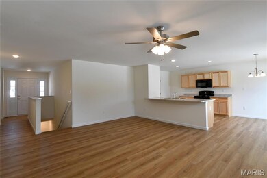 537 Apple Orchard Ln, Wentzville, MO 63385 - photo 6