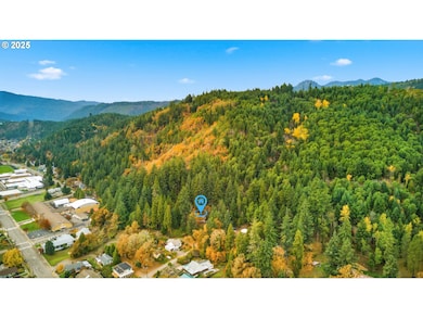 48117 E 2nd St, Oakridge, OR 97463 - photo 5