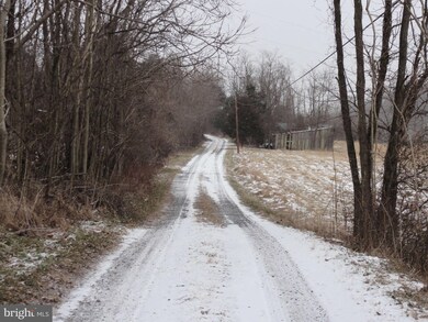 410 Tumbling Run Ln, Strasburg, VA 22657 - photo 6