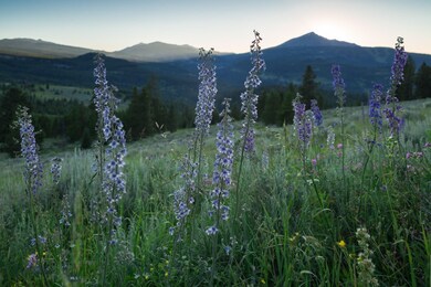 TBD Mountain Meadows Ln, Big Sky, MT 59716 - photo 2