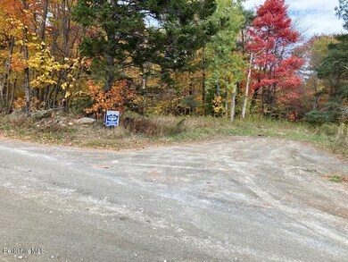 unlisted-address, Readsboro, VT 05350 - photo 2