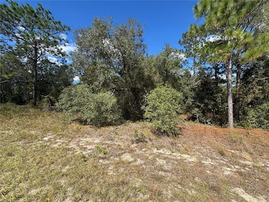 3341 W Wilhelm St, Citrus Springs, FL 34433 - photo 5