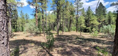 2250 S Trillium Ln, Show Low, AZ 85901 - photo 4