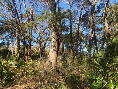 6882 N Fraser St, Georgetown, SC 29440 - photo 3