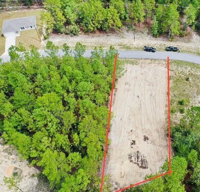 12828 SW 86th Cir, Ocala, FL 34473 - photo 3