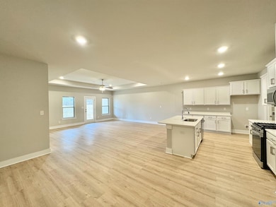 7520 Doris Ruth Ln SE, Owens Cross Roads, AL 35763 - photo 4