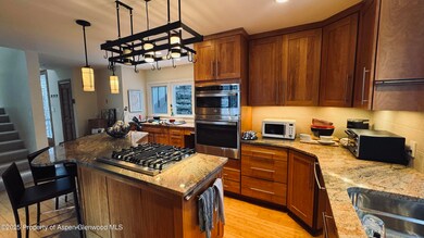 302 Roaring Fork Dr, Aspen, CO 81611 - photo 4