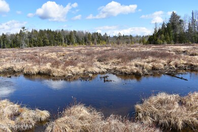 00 Hardscrabble Rd, Chester, NY 10918 - photo 5