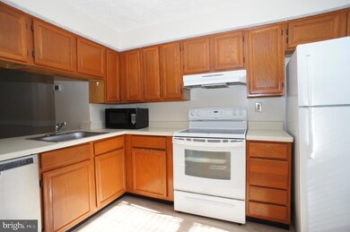 5983 Rowanberry Dr, Elkridge, MD 21075 - photo 3