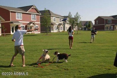dogs-playing-398.89178193653x0-c-default