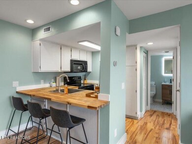 09-3710-Weber-Rd-e204-Gatlinburg-TN-9