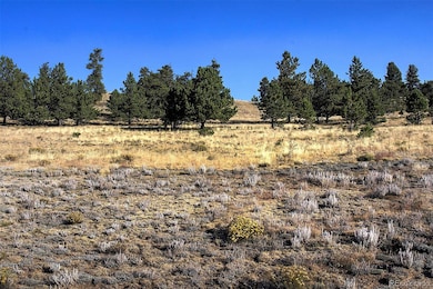 9128B Elkhorn Rd, Hartsel, CO 80449 - photo 6