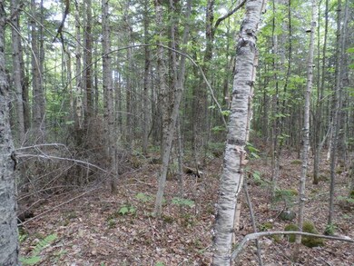 002 Lake Rd, Wilton, ME 04234 - photo 5