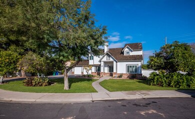 Large Beautiful Front Yard