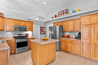 3295 Veranda Ct, Millstadt, IL 62260 - photo 7