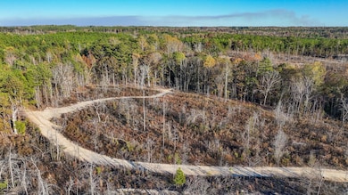 0 Big Rock Rd, Jacksons Gap, AL 36861 - photo 7