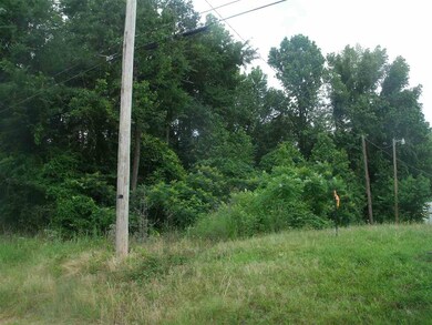 2.322 Acres Sugar Hill Rd, Texarkana, AR 71854 - photo 4