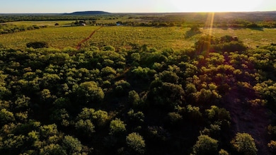 11457 Cr 187, Cisco, TX 76437 - photo 4