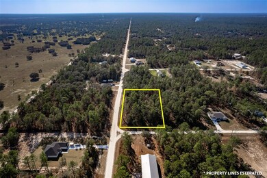 00 SW 75th St, Dunnellon, FL 34431 - photo 7