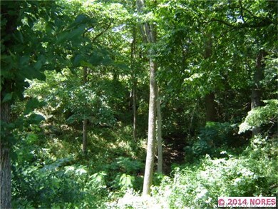 Surrounded by trees making it very private back ya