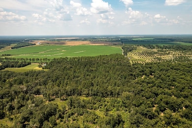 000 Shady Rd, Baconton, GA 31716 - photo 5