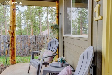 601 Dallas Aly, Woodland Park, CO 80863 - photo 4