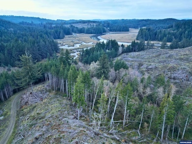 0 Wright Creek Rd, Toledo, OR 97366 - photo 4