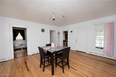 10961 Madison Rd, Montville, OH 44064 - photo 4