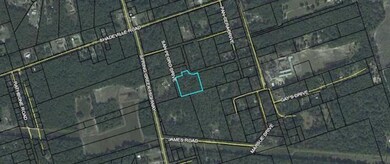 0 San Peoro Dr unit 317457, Crawfordville, FL 32327 - photo 2