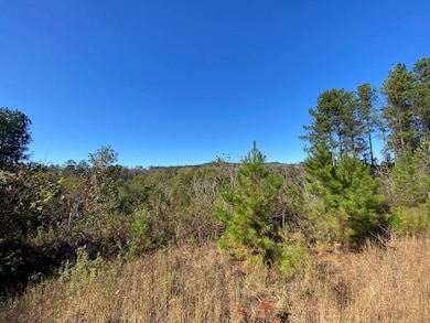 0 Highway 219 unit 11609592, Centreville, AL 35042 - photo 3