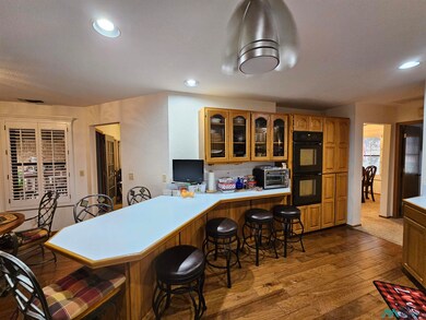 1910 Gwenda Dr, Carlsbad, NM 88220 - photo 5